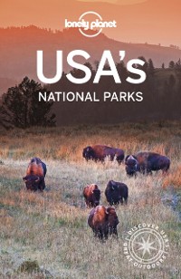 Cover Lonely Planet USA's National Parks 3