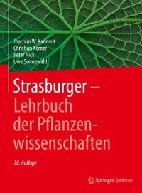 Cover Strasburger − Lehrbuch der Pflanzenwissenschaften
