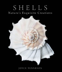 Cover Shells