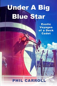 Cover Under A Big Blue Star