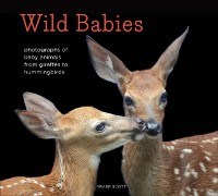 Cover Wild Babies