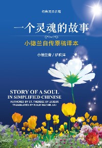 Cover Story of a Soul in Simplified Chinese