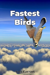 Cover Fastest Birds