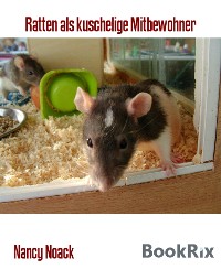 Cover Ratten als kuschelige Mitbewohner