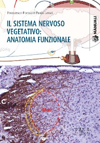 Cover Il sistema nervoso vegetativo: Anatomia funzionale