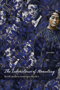 Cover Inheritance of Haunting