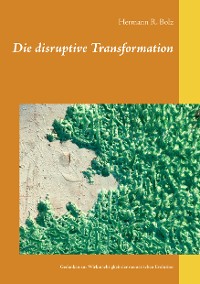 Cover Die disruptive Transformation
