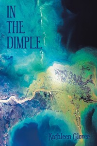 Cover In the Dimple