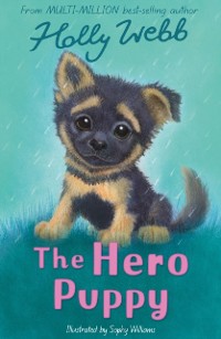 Cover Hero Puppy