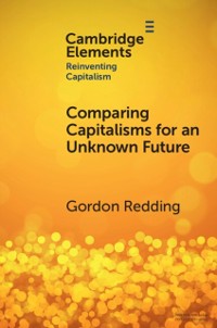 Cover Comparing Capitalisms for an Unknown Future