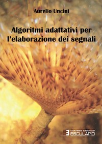 Cover Algoritmi adattivi per l'elaborazione dei segnali