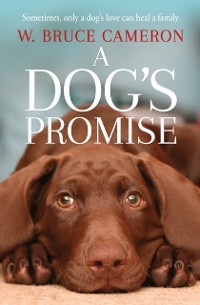 Cover Dog's Promise