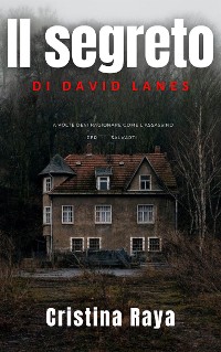 Cover Il segreto di David Lanes