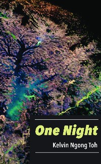 Cover One Night