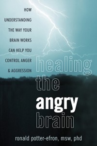 Cover Healing the Angry Brain