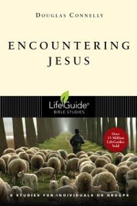 Cover Encountering Jesus