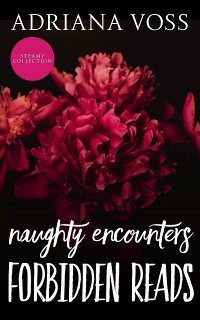 Cover Naughty Encounters Forbidden Reads