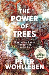 Cover The Power of Trees