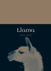 Cover Llama