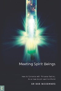 Cover Meeting Spirit Beings