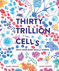 Cover Thirty Trillion Cells : How Your Body Really Works