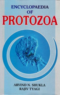 Cover Encyclopaedia of Protozoa (How To Know Protozoa)