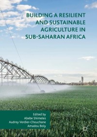 Cover Building a Resilient and Sustainable Agriculture in Sub-Saharan Africa