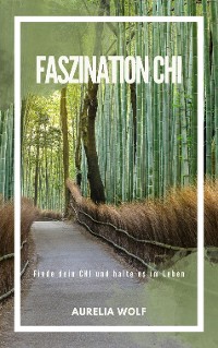 Cover Faszination Chi