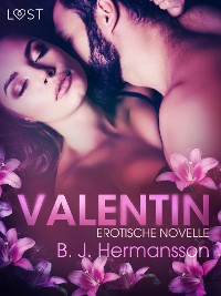 Cover Valentin: Erotische Novelle