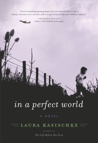 Cover In a Perfect World