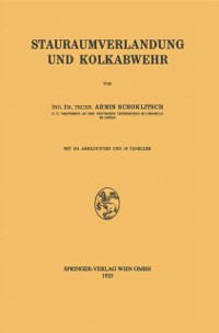 Cover Stauraumverlandung und Kolkabwehr