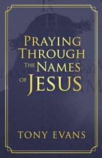 Cover Praying Through the Names of Jesus