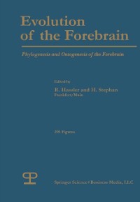Cover Evolution of the Forebrain
