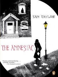 Cover Amnesiac