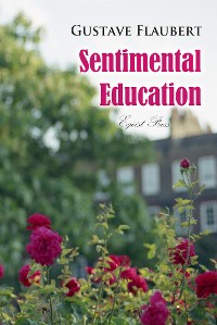 Cover Sentimental Education: The History of a Young Man