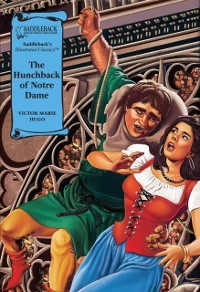 Cover Hunchback of Notre Dame Graphic Novel