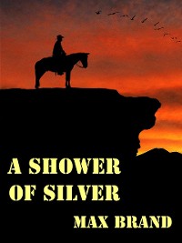 Cover A Shower of Silver