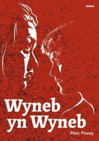 Cover Wyneb yn Wyneb