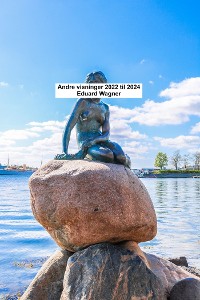 Cover Andre visninger 2022 til 2024