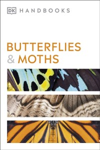 Cover Butterflies and Moths