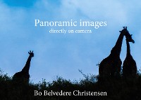 Cover Panoramic images