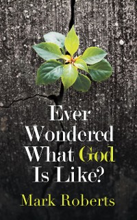 Cover Ever Wondered What God Is Like?