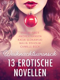 Cover Weihnachtswunsch - 13 erotische Novellen