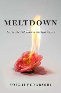 Cover Meltdown