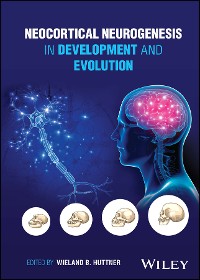 Cover Neocortical Neurogenesis in Development and Evolution