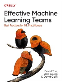Cover Effective Machine Learning Teams