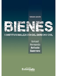 Cover Bienes Constitucionalización del Derecho Civil