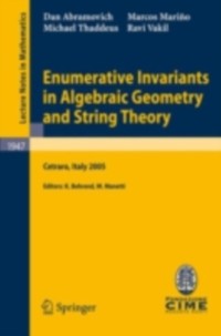 Cover Enumerative Invariants in Algebraic Geometry and String Theory