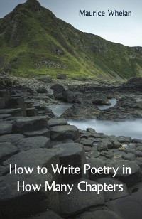 Cover How to Write Poetry in How Many Chapters