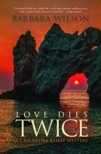 Cover Love Dies Twice